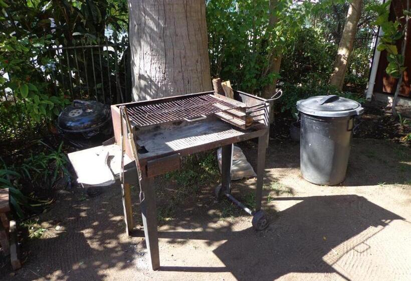 旅馆 Ashanti Lodge Backpackers