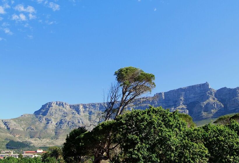 旅馆 Ashanti Lodge Backpackers