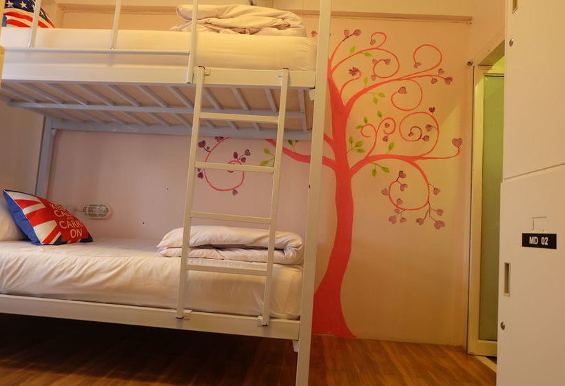 Finlay House   Hostel