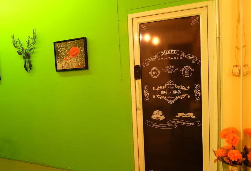 Finlay House   Hostel