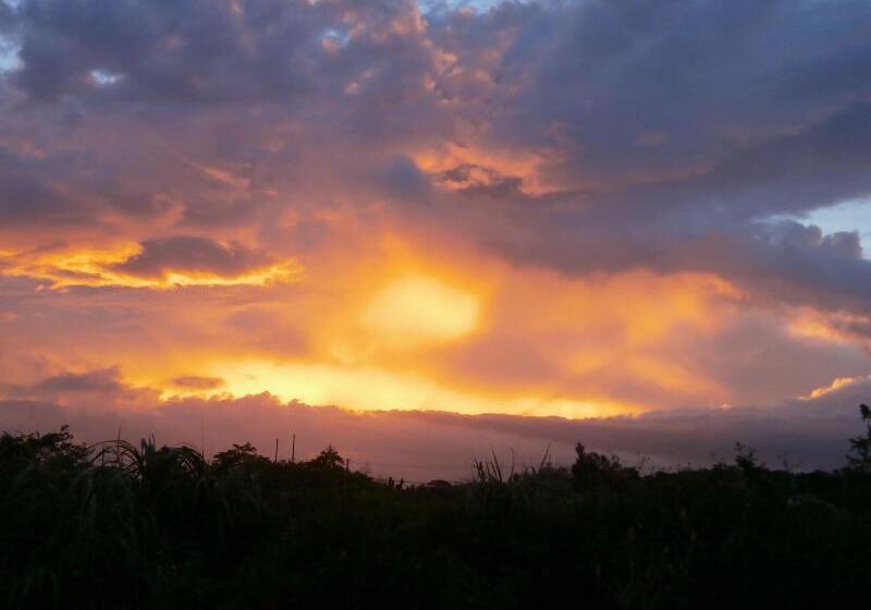 مبيت وإفطار Hibis Resort