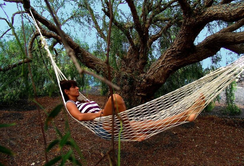 Kalindi Yoga Nature B&b