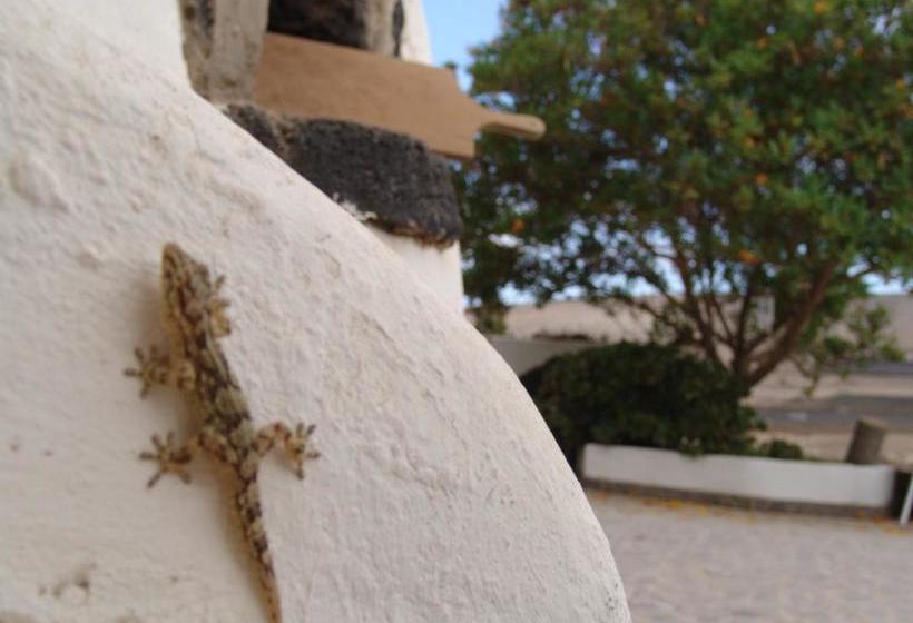 Kalindi Yoga Nature B&b