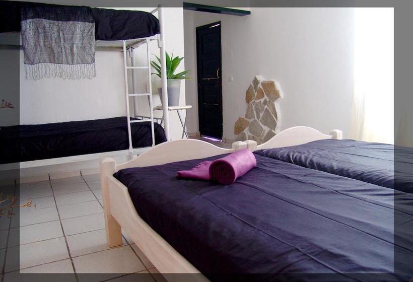 Kalindi Yoga Nature B&b