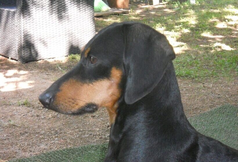 צימר La Casa Delle Fate