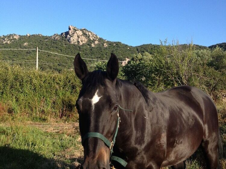 צימר La Casa Delle Fate