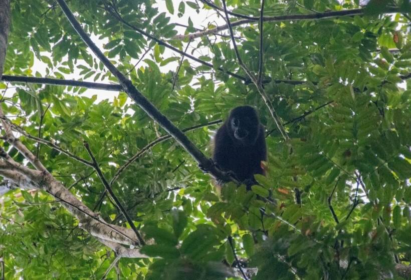 민박 Lodge Margouillat