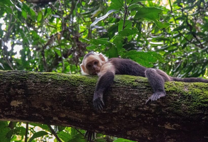 민박 Lodge Margouillat