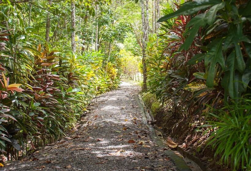 민박 Lodge Margouillat