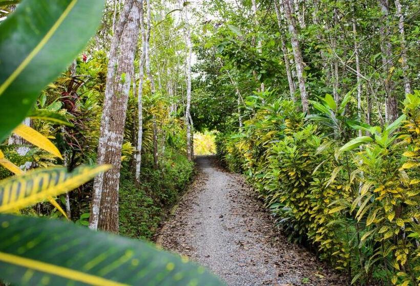 민박 Lodge Margouillat