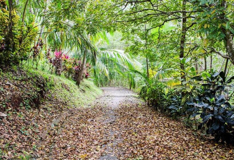 민박 Lodge Margouillat