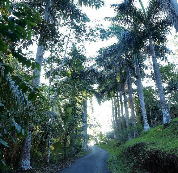 민박 Lodge Margouillat
