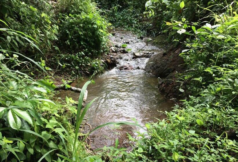 민박 Lodge Margouillat