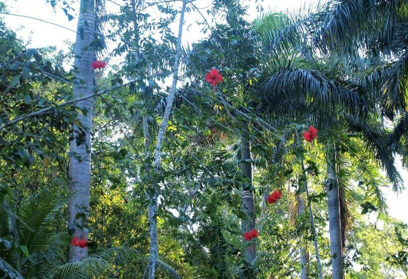 민박 Lodge Margouillat