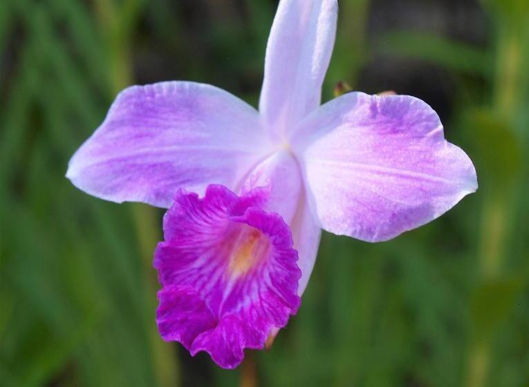 민박 Lodge Margouillat