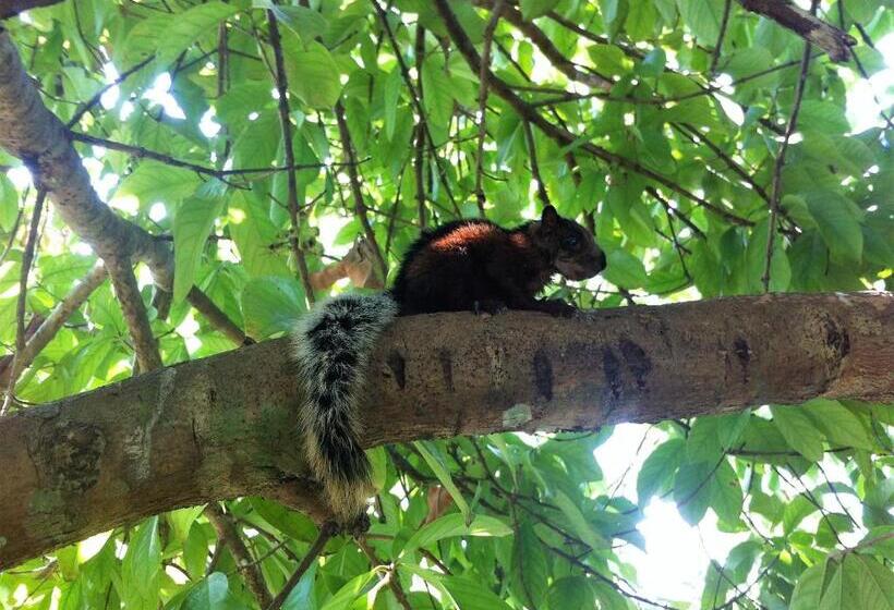 민박 Lodge Margouillat