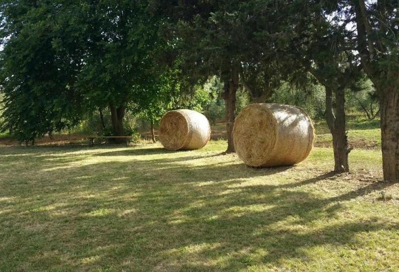 בית מלון כפרי Agriturismo La Dolce Collina