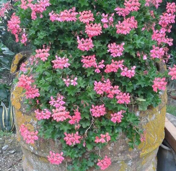 فندق Agriturismo Martignana Alta