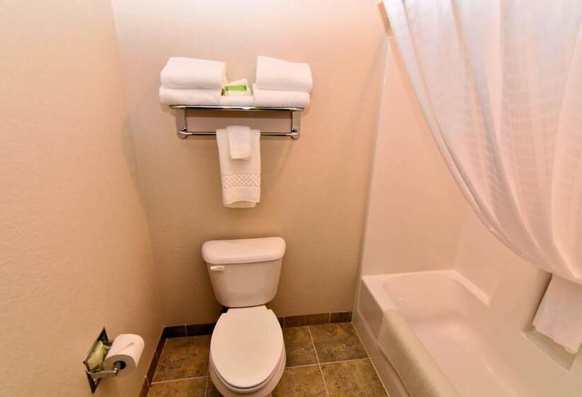 Отель Cobblestone Inn & Suites Newton