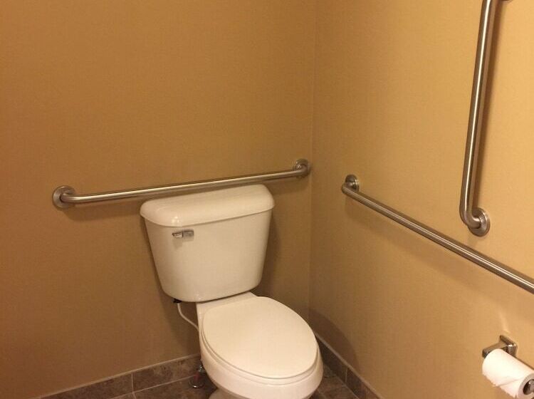 Отель Cobblestone Inn & Suites Newton