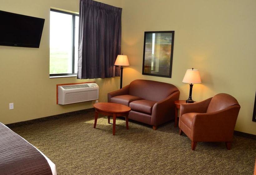 Отель Cobblestone Inn & Suites Newton