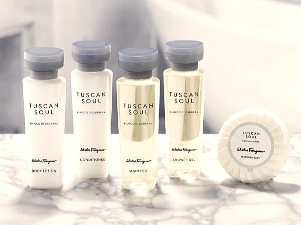 فندق Four Seasons Yuzawa Quattro