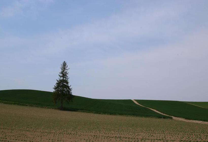 Отель Furano Shiyuirin
