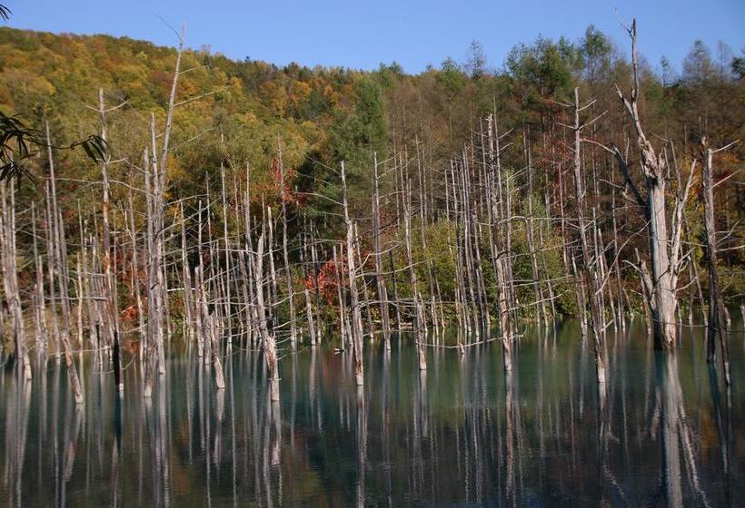 Отель Furano Shiyuirin