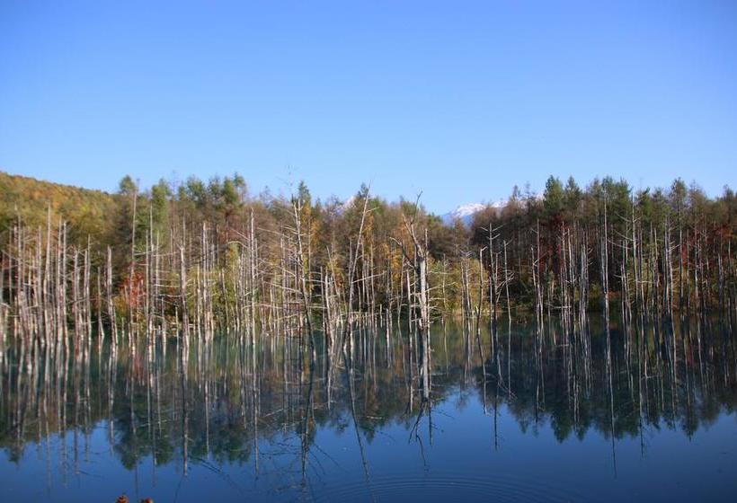 Отель Furano Shiyuirin