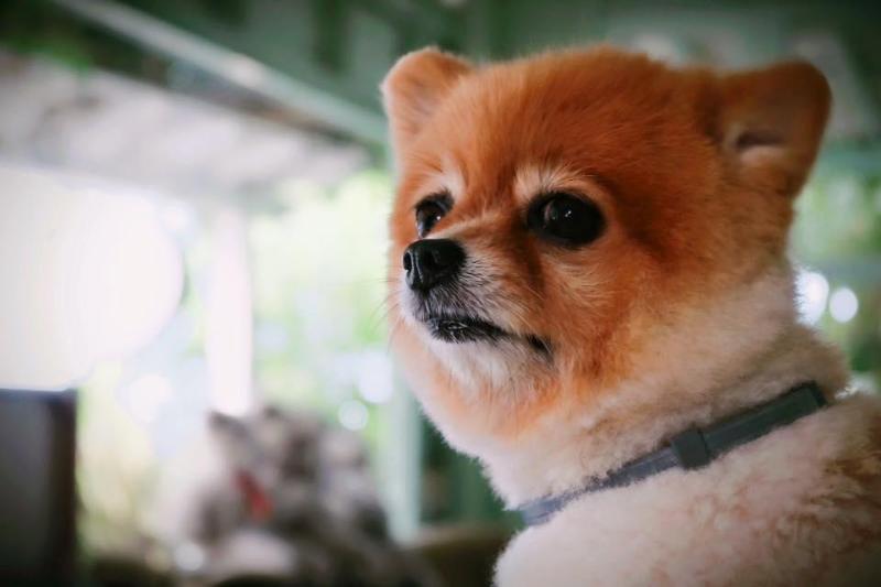 酒店 Green Gallery Beach Boutique