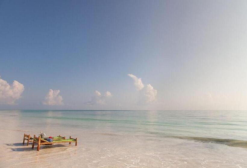 호텔 Kisiwa On The Beach