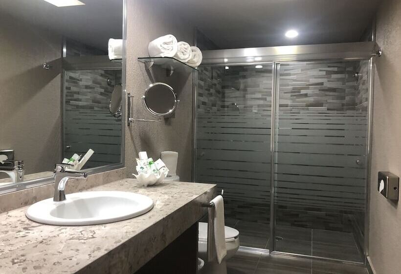 فندق Layfer Del Centro, Cordoba, Ver