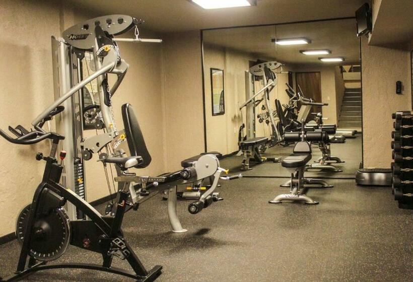 فندق Layfer Del Centro, Cordoba, Ver