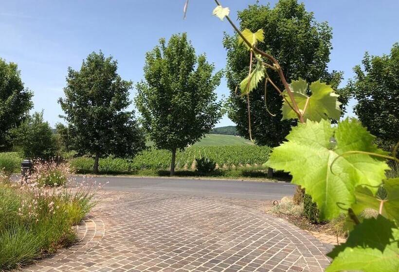 Отель Les Grains D Argent Dizy   Epernay