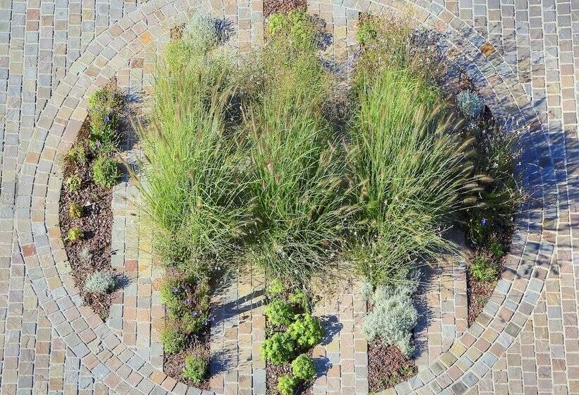 Отель Les Grains D Argent Dizy   Epernay