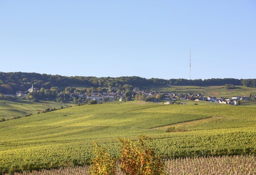 Отель Les Grains D Argent Dizy   Epernay