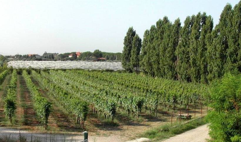 Отель Farmstay La Morella