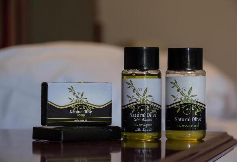 فندق Naxos Beach