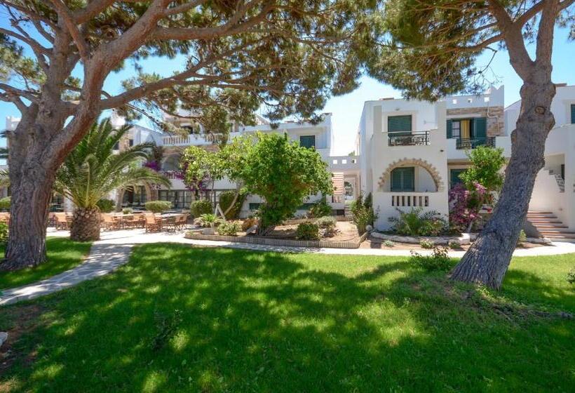 فندق Naxos Beach