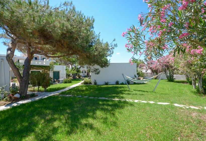 فندق Naxos Beach