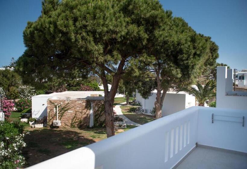 فندق Naxos Beach