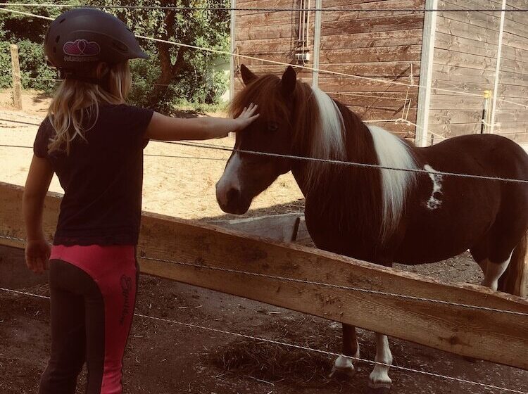 בית מלון כפרי Nurnberger Hof In Altdorf
