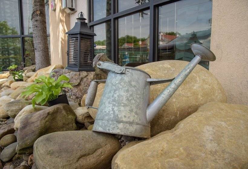 ホテル Pigeon River Inn