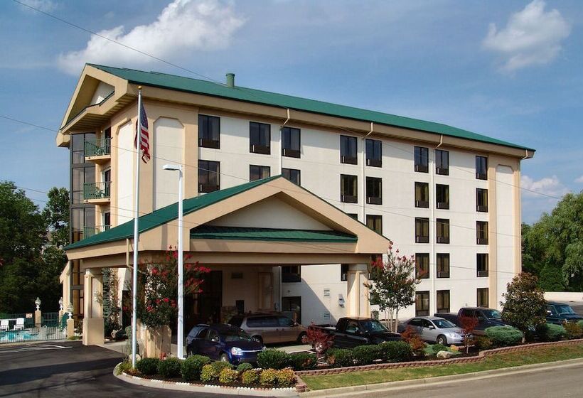 ホテル Pigeon River Inn