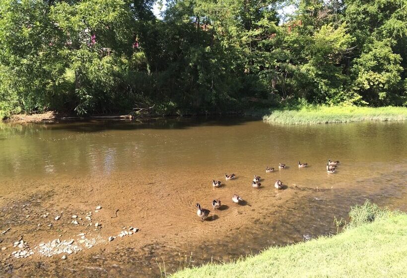 ホテル Pigeon River Inn