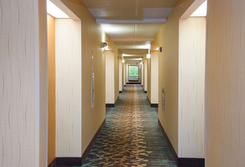 ホテル Pigeon River Inn