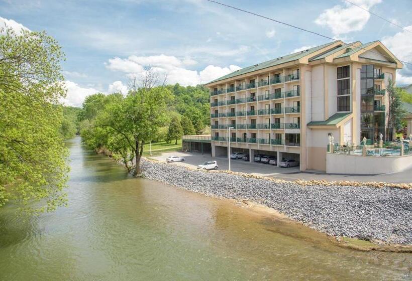 ホテル Pigeon River Inn