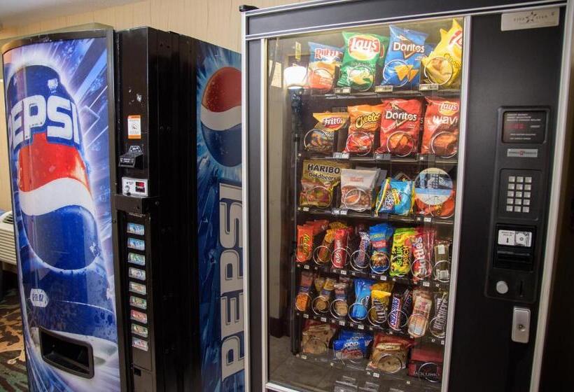 ホテル Pigeon River Inn