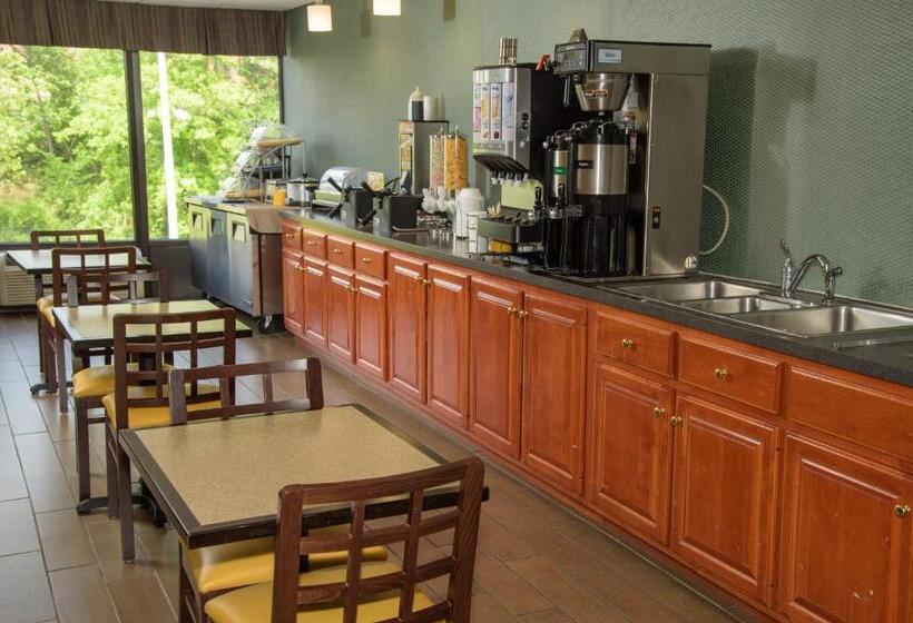 ホテル Pigeon River Inn