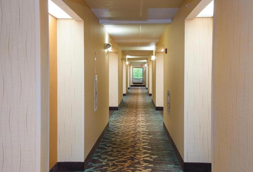 ホテル Pigeon River Inn